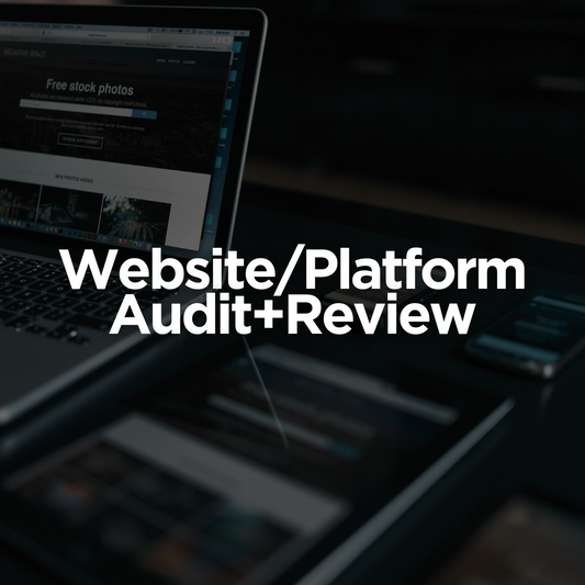 Website/Platform Audit+Review